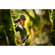 FLIR Scion OTM: Picture 3 thumbnail