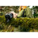 FLIR Scion OTM: Picture 4 thumbnail