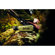 FLIR Scion OTM: Picture 2 thumbnail