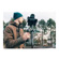 FLYCAM HD-5000 Stabilizer: Picture 3 thumbnail