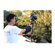 FLYCAM Redking Stabilizer: Picture 10 thumbnail