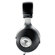 Focal Elegia: Picture 2 thumbnail