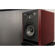 Focal Solo6: Picture 6 thumbnail