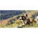 Field Optics Research ProMax: Picture 6 thumbnail
