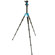 3Pod Compact: Picture 1 thumbnail
