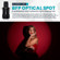 Flashpoint BFP Optical Spot: Picture 2 thumbnail