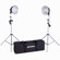 Flashpoint Cool Kit with 2 Reflectors, 2 Fluorescent Bulb ,2 Light Stands, Carrying Case, Umbrellas: Picture 2 thumbnail