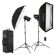Flashpoint FSP Flash: Picture 1 thumbnail