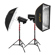 Flashpoint FSP Flash: Picture 1 thumbnail