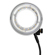 Flashpoint R2400: Picture 4 thumbnail