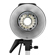 Flashpoint S-400-R2: Picture 6 thumbnail
