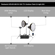 Flashpoint XPLOR 3 Light Kit: Picture 4 thumbnail