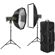 Flashpoint XPLOR 600PRO II: Picture 1 thumbnail