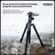 FotoPro Sherpa Max: Picture 17 thumbnail