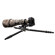 FotoPro Eagle Series E-7: Picture 3 thumbnail