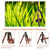 FotoPro X-Go Gecko E: Picture 9 thumbnail