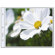 undefined undefined: Picture 1 regular