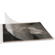 Print File Interleaving Folder: Picture 1 thumbnail