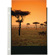 Itoya Art Profolio 8.5x11" Clear Pages, ...: Picture 2 thumbnail