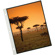 Itoya Art Profolio 8.5x11" Clear Pages, ...: Picture 3 thumbnail