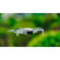 Freewell Bright Day Filter Kit: Picture 2 thumbnail
