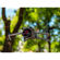 Freewell All Day Lens Filter Kit: Picture 2 thumbnail