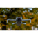 Freewell Mega Filter Kit: Picture 4 thumbnail