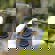 Freewell Bright Day ND/PL Hybrid Lens Fi...: Picture 4 thumbnail