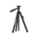 undefined undefined: Picture 1 regular