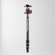 Freewell FW-T2: Picture 4 thumbnail