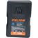 FX Lion BP-100SL: Picture 1 thumbnail