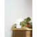 Google Nest Hub: Picture 4 thumbnail