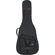 Gator Cases Gig Bag: Picture 1 thumbnail