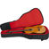 Gator Cases Gig Bag: Picture 1 thumbnail