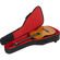 Gator Cases Gig Bag: Picture 11 thumbnail