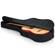 Gator Cases GBE-CLASSIC Gig Bag: Picture 1 thumbnail