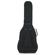 Gator Cases GBE-CLASSIC Gig Bag: Picture 6 thumbnail