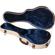 Gator Cases GW-JM MANDOLIN: Picture 3 thumbnail