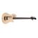 Godin A5: Picture 2 thumbnail