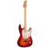 Godin Progression Plus: Picture 1 thumbnail
