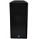 Gemini GT-3004 Dual 15" Trapezoid Loudspeaker, 300 Watts RMS, 35Hz - 20kHz Frequency Response: Picture 2 thumbnail