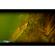 GoFish Cam Underwater Fishing Camera: Picture 4 thumbnail