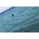 GoFish Cam Underwater Fishing Camera: Picture 6 thumbnail