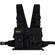 Gig Gear Chest Rig: Picture 1 thumbnail