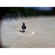 Gizmon Center Focus Clip-on Lens for Apple iPhone & Smartphones: Picture 4 thumbnail
