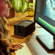 Glyph Technologies Blackbox PRO RAID Hub: Picture 4 thumbnail