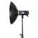 Glow Beauty Dish Reflector: Picture 14 thumbnail