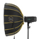 Glow EZ Lock Beauty Dish: Picture 7 thumbnail