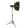 Glow EZ Lock Beauty Dish: Picture 9 thumbnail