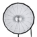 Glow EZ Lock Beauty Dish: Picture 10 thumbnail